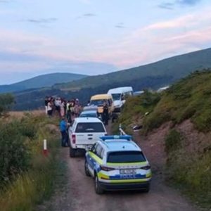 Погнаха берачи на боровинки в Троянско